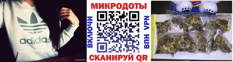 магазин    Бодайбо  Псилоцибиновые грибы мухоморы 